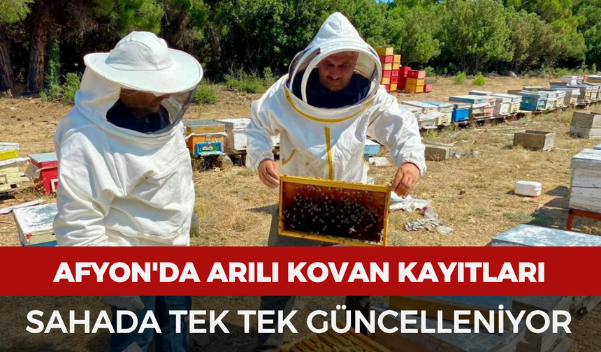 Afyonkarahisar'da arılı kovan kayıtları sahada tek tek güncelleniyor