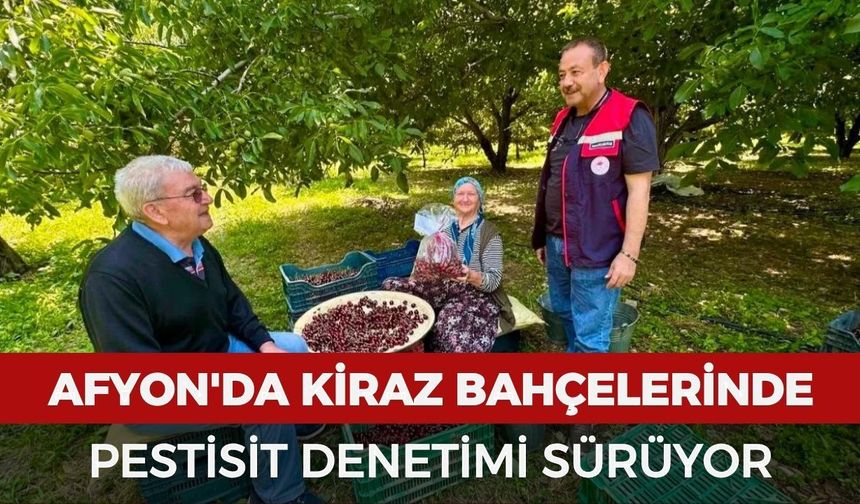 Afyonkarahisar'da kiraz bahçelerinde pestisit denetimi sürüyor