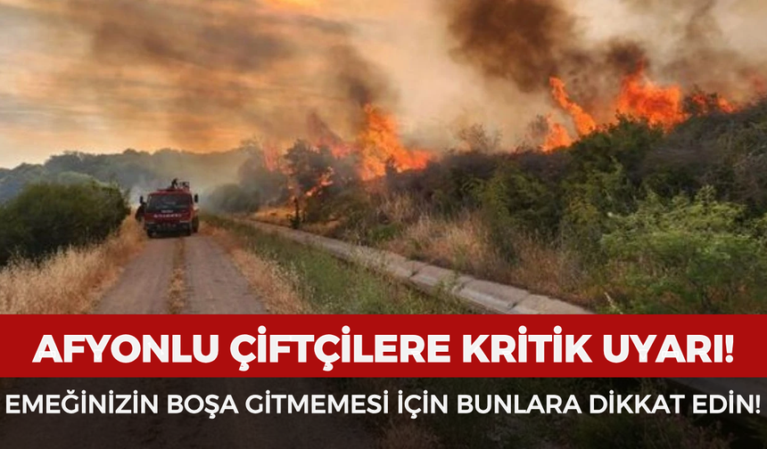Afyonlu çiftçilere kritik uyarı! Emeğinizin boşa gitmemesi için bunlara dikkat edin
