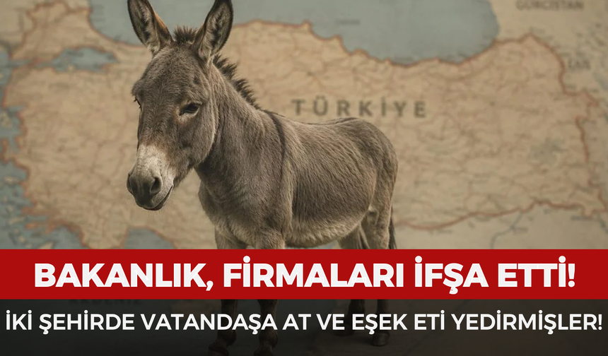 Bakanlık, firmaları ifşa etti: İki şehirde vatandaşa at ve eşek eti yedirmişler!