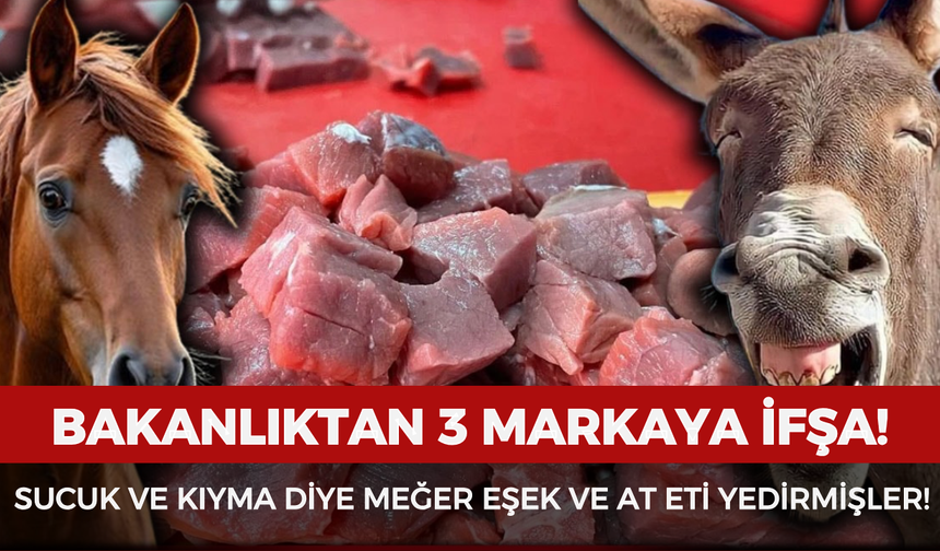 Bakanlıktan 3 markaya ifşa: Sucuk ve kıyma diye meğer eşek ve at eti yedirmişler!
