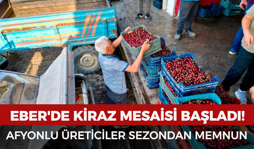 Eber'de kiraz mesaisi başladı! Afyonlu üreticiler sezondan memnun
