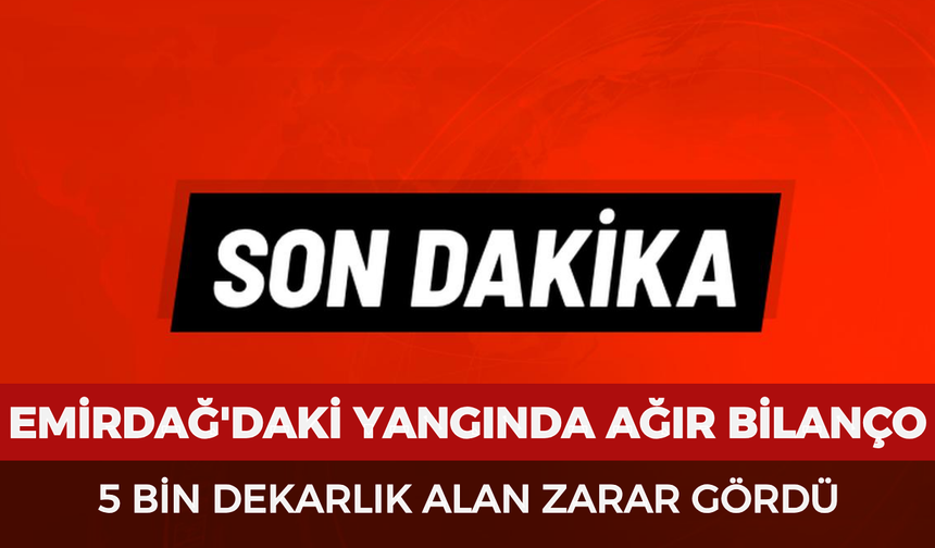 Emirdağ'daki yangında ağır bilanço: 5 bin dekarlık alan zarar gördü