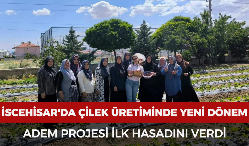 İscehisar'da çilek üretiminde yeni dönem: ADEM projesi ilk hasadını verdi