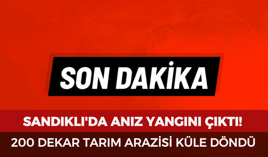 Sandıklı'da anız yangını çıktı! 200 dekar tarım arazisi küle döndü