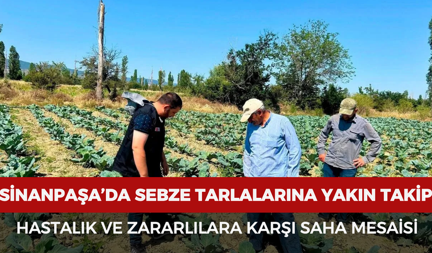 Sinanpaşa’da sebze tarlalarına yakın takip: Hastalık ve zararlılara karşı saha mesaisi