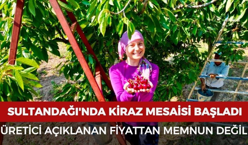 Sultandağı'nda kiraz mesaisi başladı: Üretici açıklanan fiyattan memnun değil