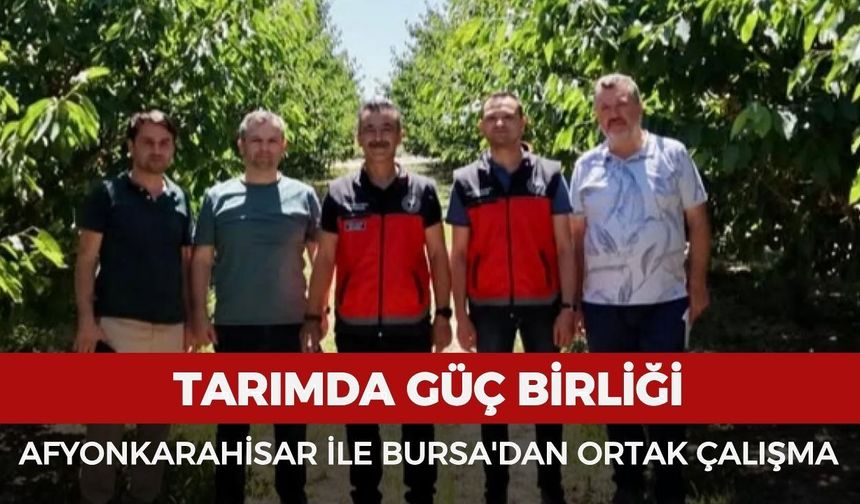 Tarımda güç birliği: Afyonkarahisar ile Bursa'dan ortak çalışma