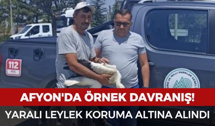 Afyon'da örnek davranış: Yaralı leylek koruma altına alındı