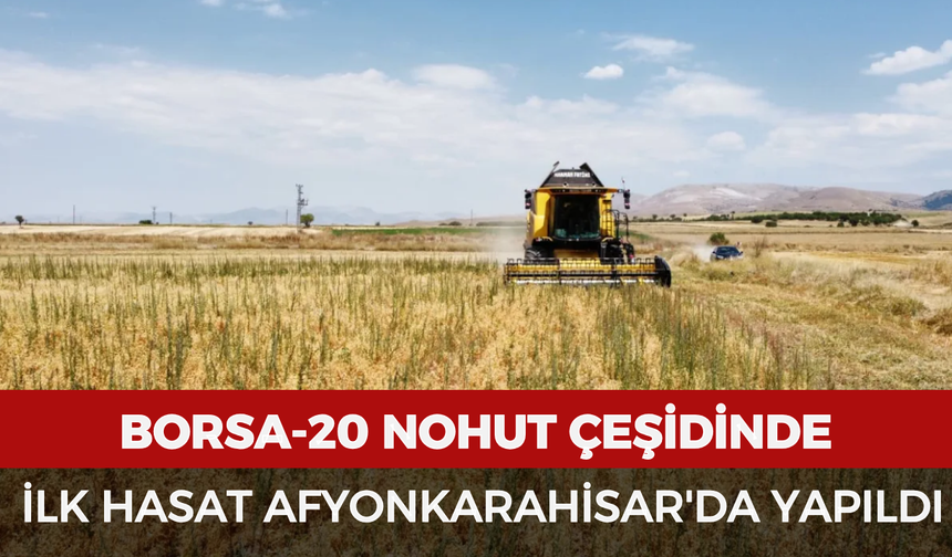 Borsa-20 nohut çeşidinde ilk hasat Afyonkarahisar'da yapıldı