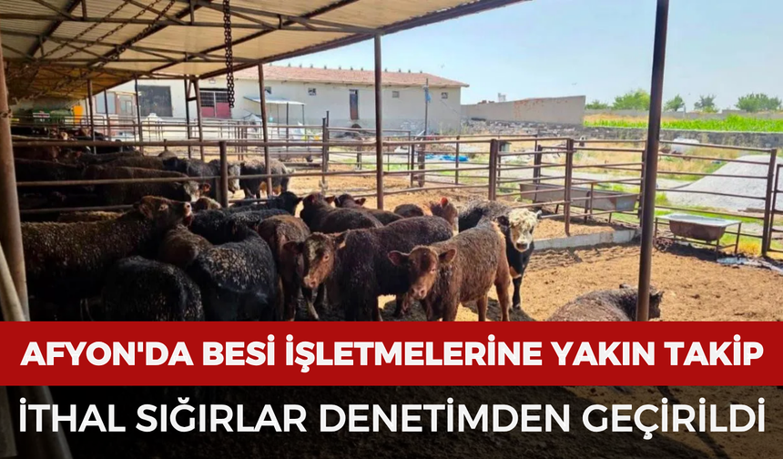 Afyonkarahisar'da besi işletmelerine yakın takip: İthal sığırlar denetimden geçirildi