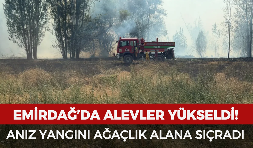 Emirdağ’da alevler yükseldi! Anız yangını ağaçlık alana sıçradı