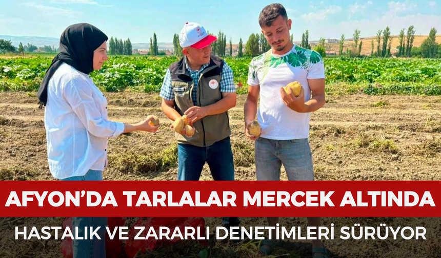 Afyonkarahisar’da tarlalar mercek altında: Hastalık ve zararlı denetimleri sürüyor