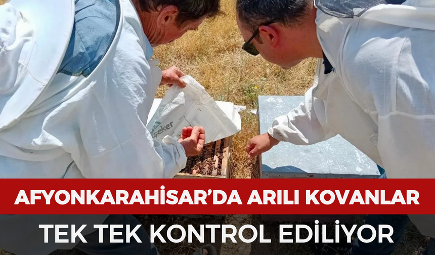 Afyonkarahisar’da arılı kovanlar tek tek kontrol ediliyor