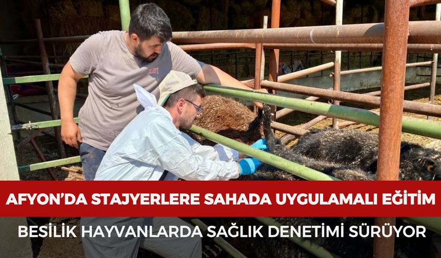 Afyon'da stajyerlere sahada uygulamalı eğitim: Besilik hayvanlarda sağlık denetimi sürüyor