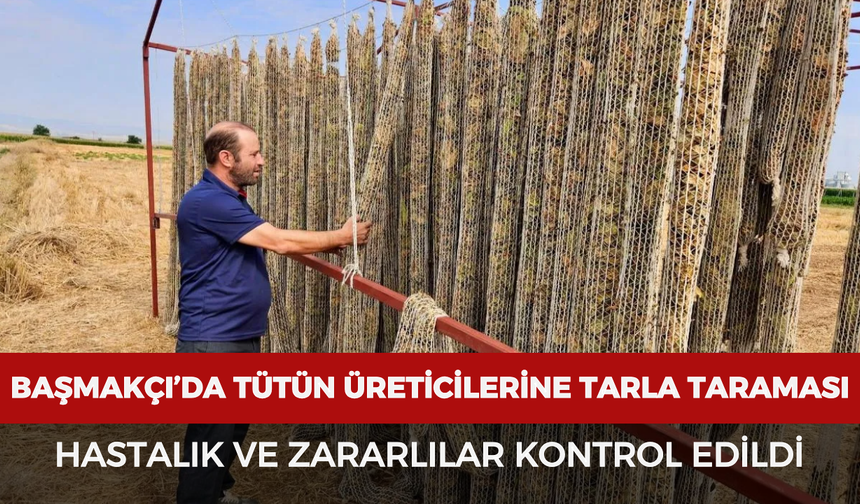 Başmakçı’da tütün üreticilerine tarla taraması: Hastalık ve zararlılar kontrol edildi