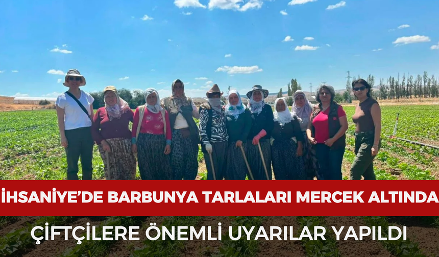 İhsaniye’de barbunya tarlaları mercek altında: Çiftçilere önemli uyarılar yapıldı