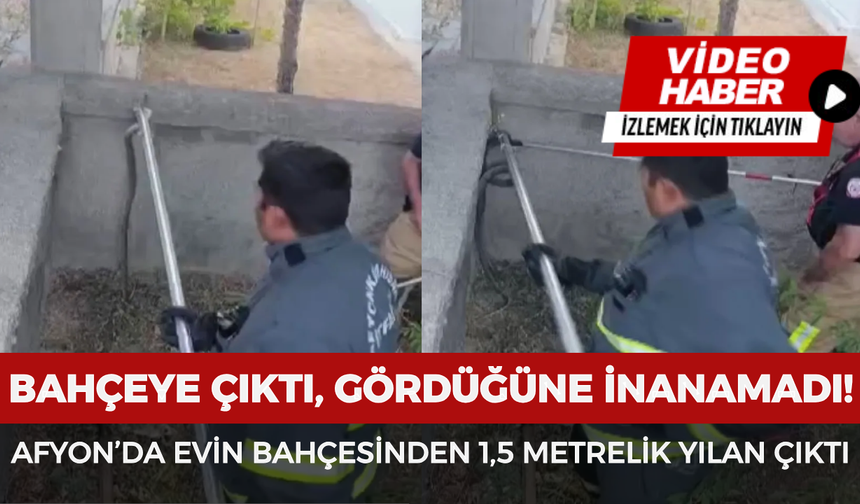 Afyonkarahisar’da Evin Bahçesinden 1,5 Metrelik Yılan Çıktı