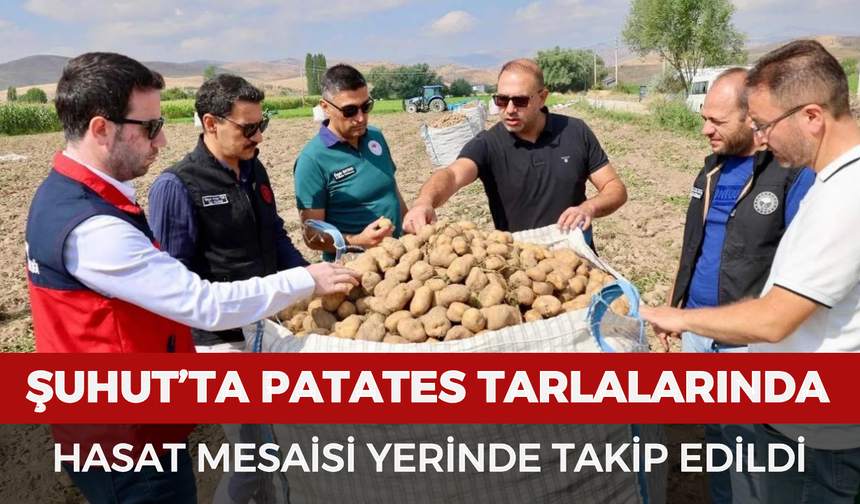Şuhut’ta patates tarlalarında hasat mesaisi yerinde takip edildi