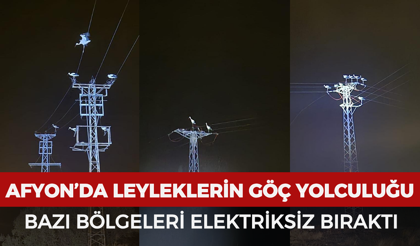 Afyonkarahisar’da leyleklerin göç yolculuğu bazı bölgeleri elektriksiz bıraktı
