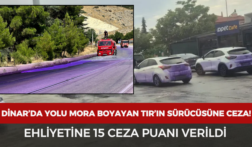 Dinar’da yolu mora boyayan TIR’ın sürücüsüne ceza! Ehliyetine 15 ceza puanı verildi