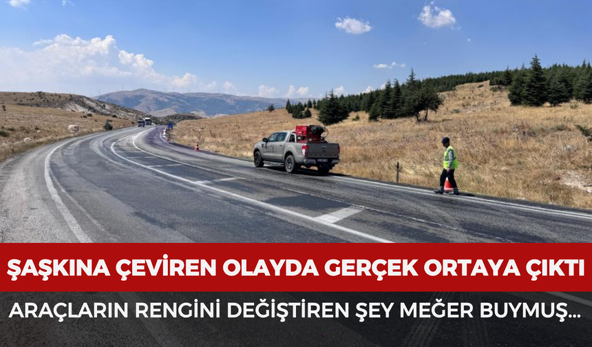 Dinar-Çay yolunda şaşkına çeviren olayda gerçek ortaya çıktı: Araçların rengini değiştiren şey meğer buymuş...
