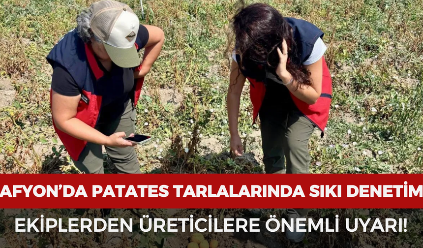 Afyonkarahisar’da patates tarlalarında sıkı denetim