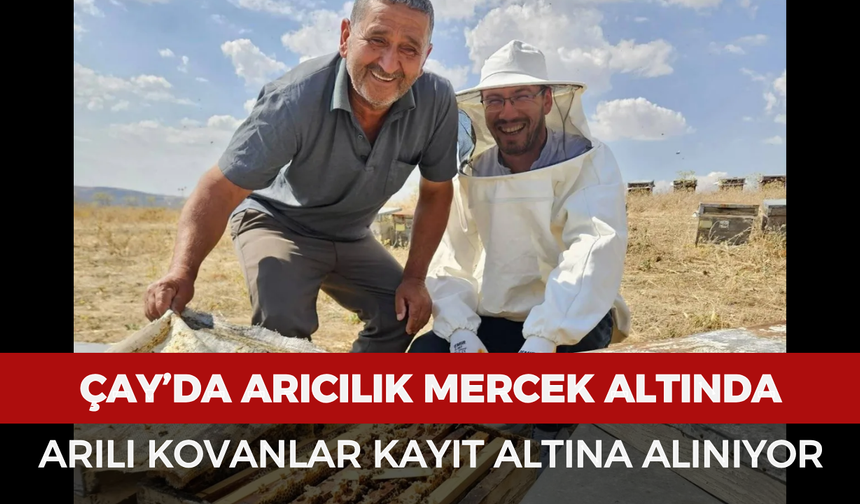 Çay’da arıcılık mercek altında: Arılı kovanlar kayıt altına alınıyor