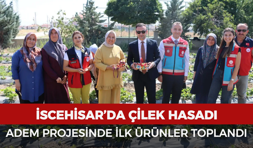 İscehisar’da çilek hasadı: ADEM projesinde ilk ürünler toplandı