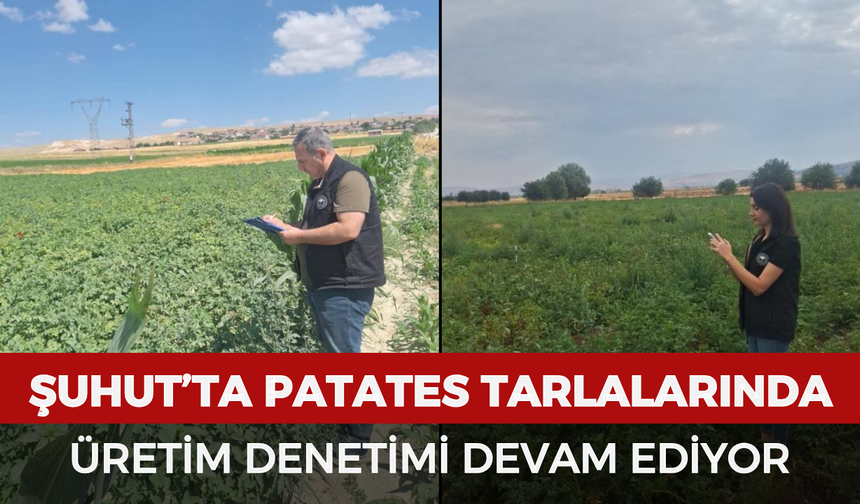 Şuhut’ta patates tarlalarında üretim denetimi devam ediyor