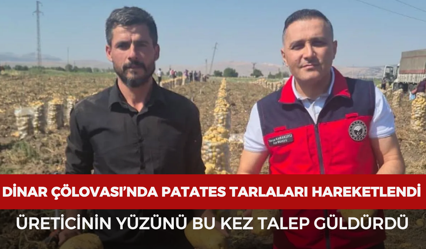 Dinar Çölovası’nda patates tarlaları hareketlendi: Üreticinin yüzünü bu kez talep güldürdü