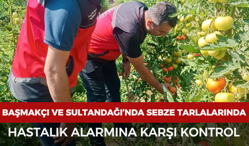 Başmakçı ve Sultandağı’nda sebze tarlalarında hastalık alarmına karşı kontrol