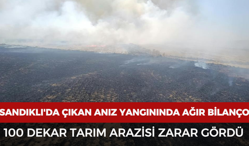 Sandıklı'da çıkan anız yangınında ağır bilanço: 100 dekar tarım arazisi zarar gördü