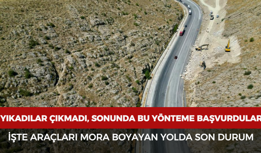 Yıkadılar çıkmadı, sonunda bu yönteme başvurdular! İşte araçları mora boyayan yolda son durum