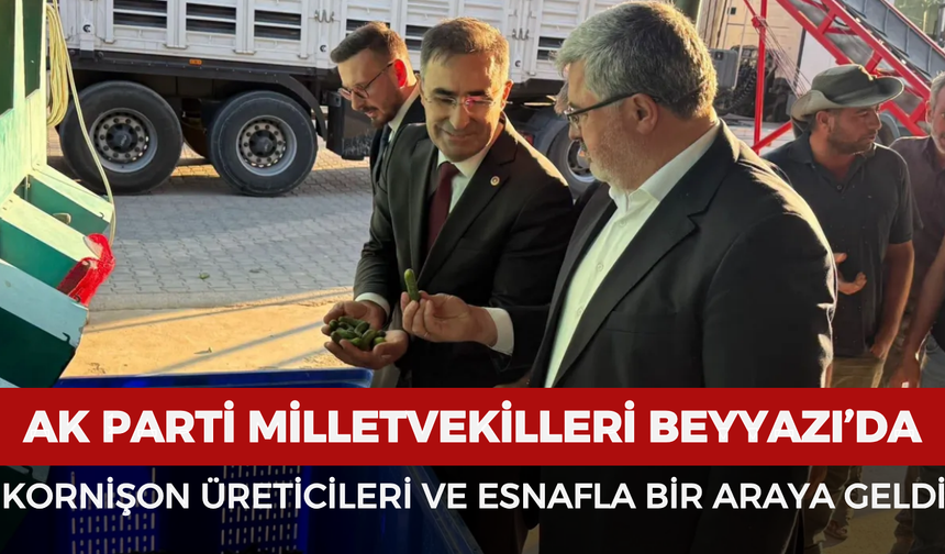 AK Parti Milletvekilleri Beyyazı’da kornişon üreticileri ve esnafla bir araya geldi