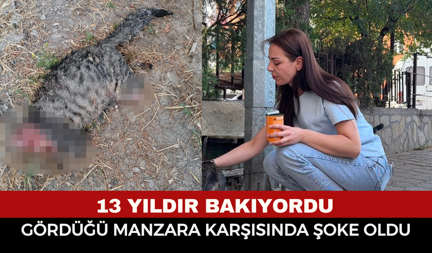 Dehşete Düşüren Olay! Sabah Kapıyı Açan Aile Gördüğü Manzara Karşısında Şoke Oldu!