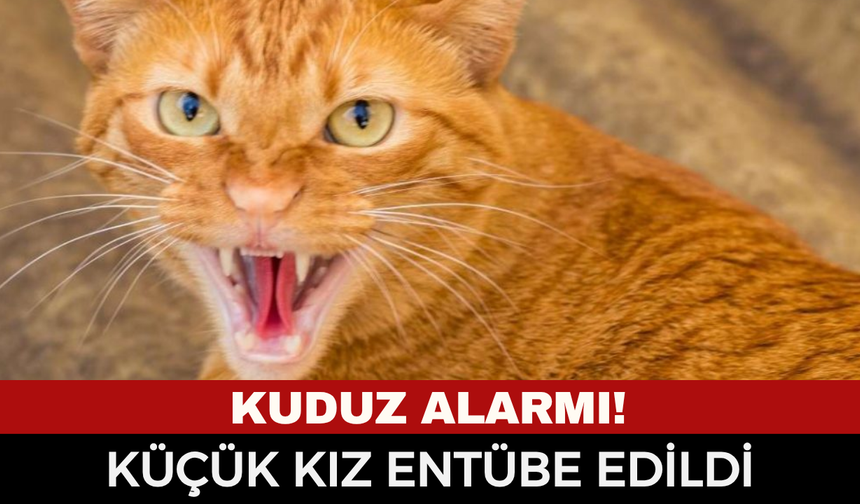 Kuduz Paniği Büyüyor: Kedinin ısırdığı 4 yaşındaki çocuk entübe edildi