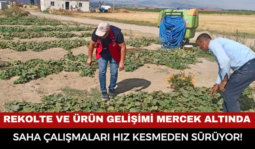 Afyonkarahisar Çay'da Tarımsal Rekolte Tespiti ve Saha Çalışmaları Hız Kesmeden Sürüyor