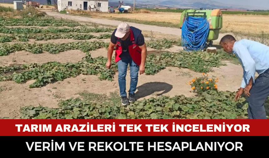 Afyonkarahisar’da tarım arazileri tek tek inceleniyor: Verim ve rekolte hesaplanıyor