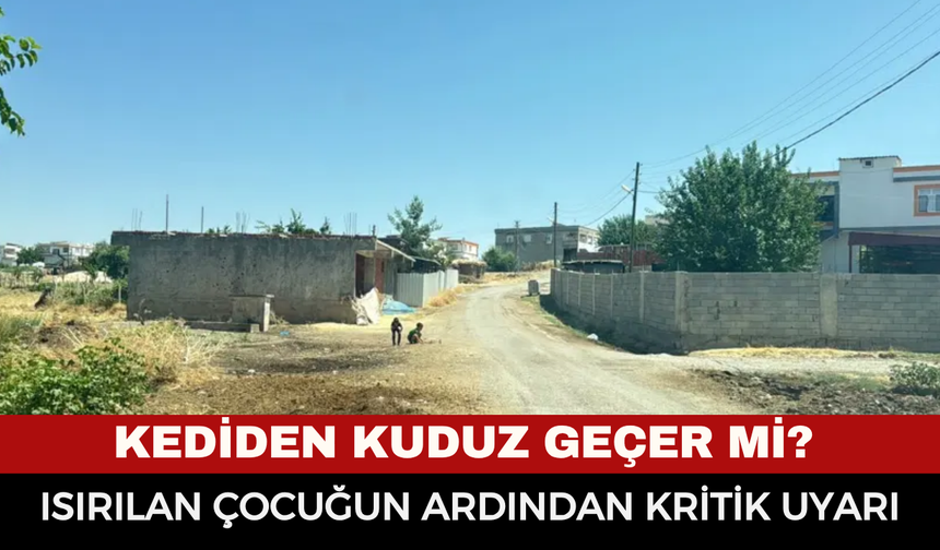 Kediden kuduz geçer mi? Isırılan çocuğun ardından kritik uyarı
