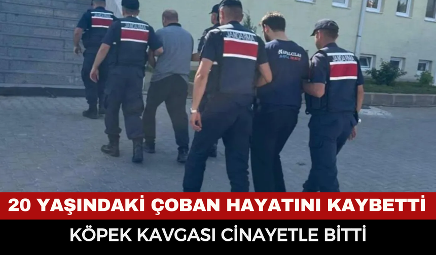 20 yaşındaki çoban hayatını kaybetti: Köpek kavgası cinayetle bitti