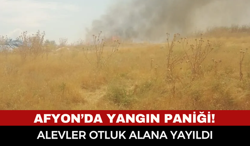 Afyon'da yangın paniği! Alevler otluk alana yayıldı