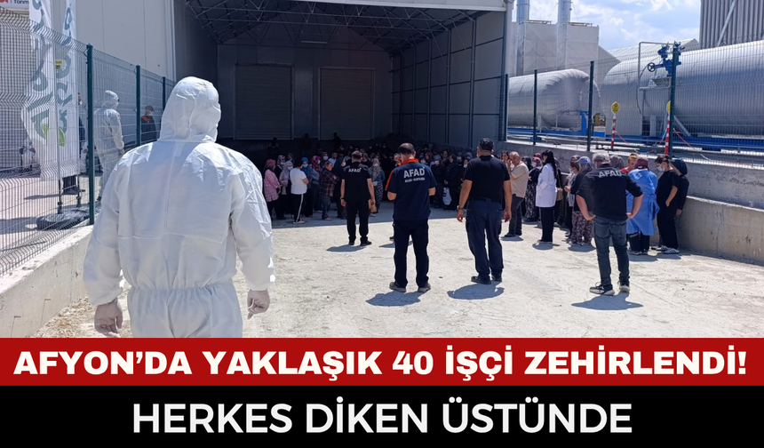 Afyonkarahisar’da serada kimyasal facia: 40 işçi zehirlendi, hastaneye kaldırılanlar var!