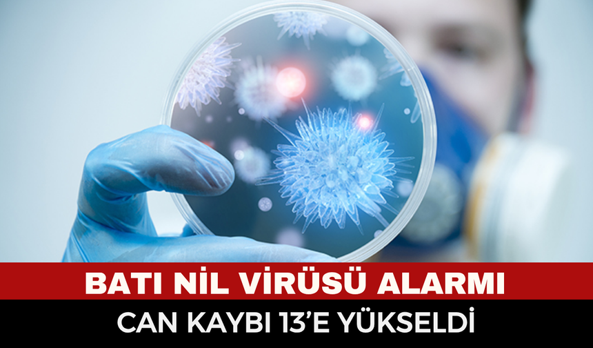 Batı Nil virüsü alarmı: Bir haftada 47 yeni vaka, can kaybı 13’e yükseldi