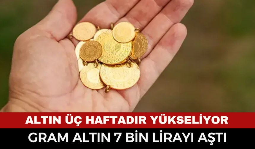 Altın üç haftadır yükseliyor: Gram altın 7 bin lirayı aştı