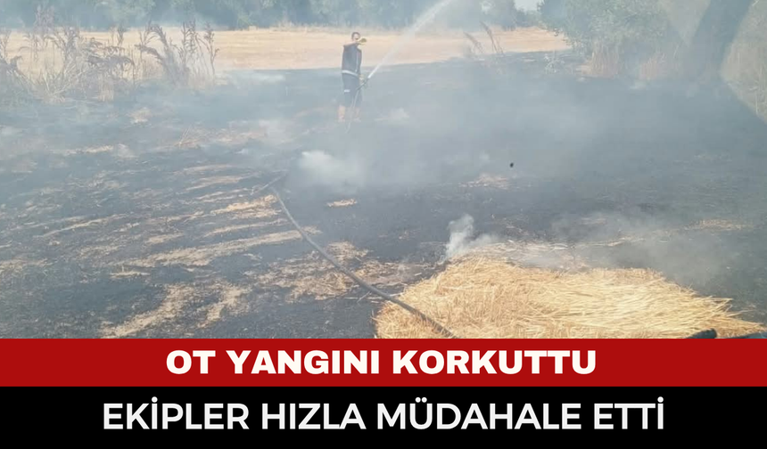 Şuhut’ta ot yangını paniğe neden oldu! Ekipler hızla müdahale etti