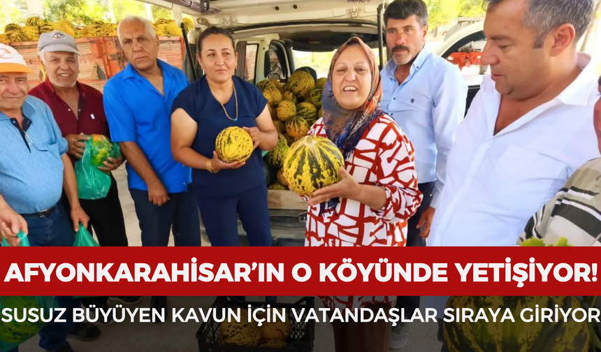 Afyonkarahisar’ın bu köyünde yetişiyor! Susuz büyüyen kavun için vatandaşlar sıraya giriyor