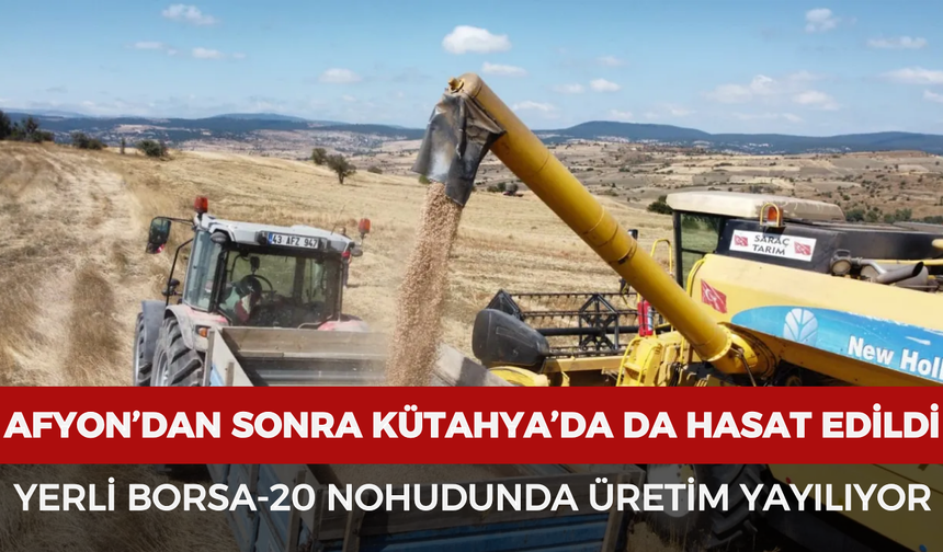Afyonkarahisar’dan sonra Kütahya’da da hasat edildi: Yerli Borsa-20 nohudunda üretim yayılıyor