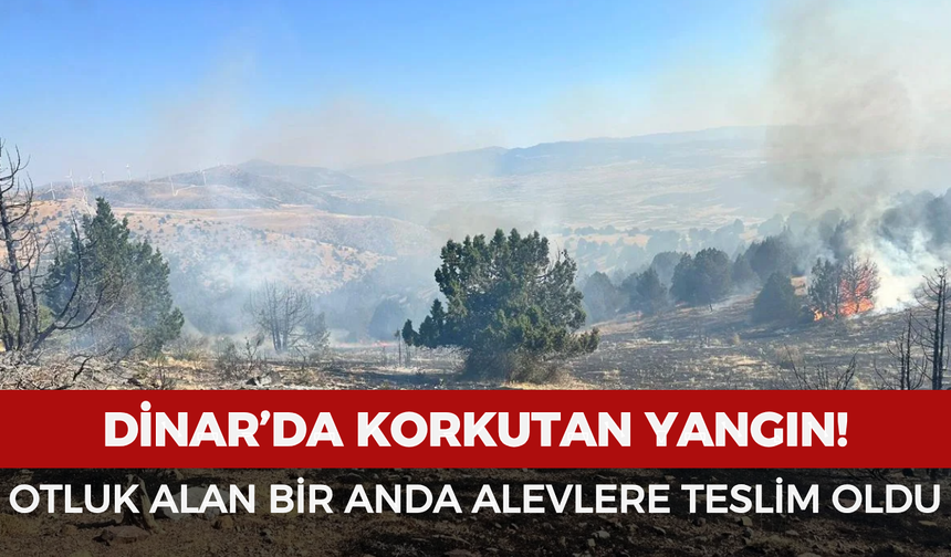 Dinar’da korkutan yangın: Otluk alan bir anda alevlere teslim oldu