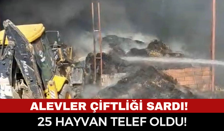 Alevler Çiftliği Sardı! Saman Balyaları Tutuştu, 25 Hayvan Telef Oldu